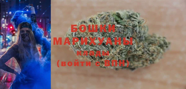 крисы Новозыбков