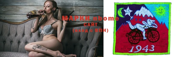 соль ск Новодвинск