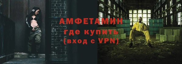 крисы Новозыбков