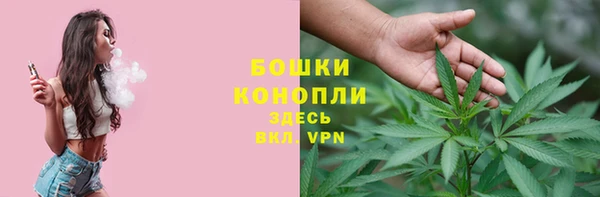 соль ск Новодвинск