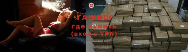 крисы Новозыбков