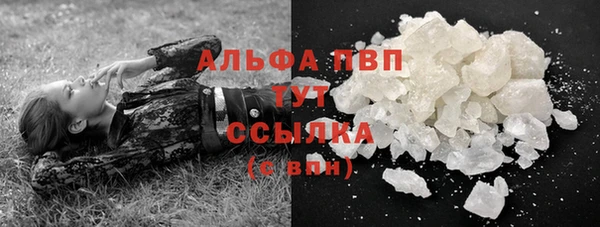 крисы Новозыбков