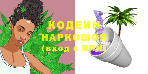 крисы Новозыбков
