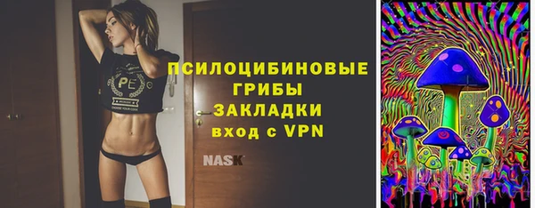 крисы Новозыбков